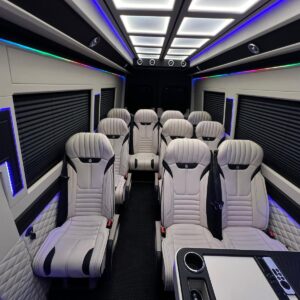 SCAUNE VIP